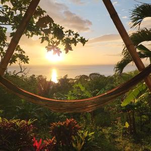 a hammock in a garden with the sunset in the background at The Jungle in Mérida