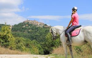 a woman riding a white horse on a mountain at Nice Home In Monte Smaria Tiberina in Monte Santa Maria Tiberina