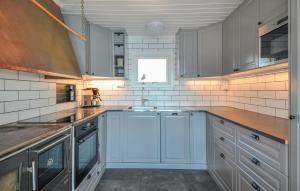 奥尔延Beautiful Home In Årjäng With Lake View的带蓝色橱柜和水槽的厨房