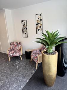 a room with two chairs and a potted plant at Appartement de standing T3 - Lina in Hésingue +8 photos