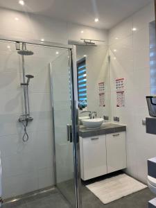 a bathroom with a shower and a sink at Domek Orłówka in Jaworzna