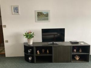 TV a/nebo společenská místnost v ubytování Pension Barborka