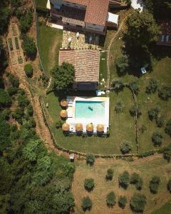 an overhead view of a backyard with a swimming pool at Agriturismo PANCOLINA in San Gimignano