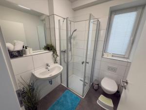 a bathroom with a shower and a toilet and a sink at Luxus-Penthouse mit Terrasse & Klima in Siegburg +27 photos