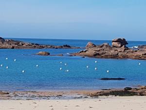 a beach with a bunch of birds in the water at Studio in Trégastel