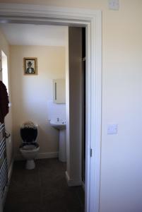 a bathroom with a toilet and a sink at Bro Dafydd in Aberystwyth