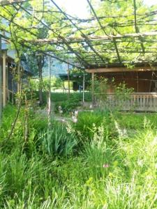 Κήπος έξω από το Воржоми Mzetamze