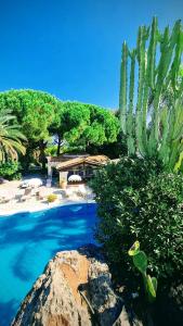 a resort with a cactus and a swimming pool at B&B La Villa in Giardini Naxos