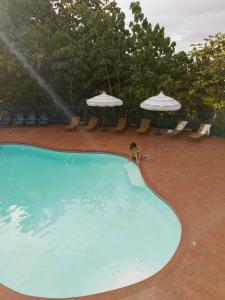 Bazén v ubytování El Oasis Hotel nebo v jeho okolí