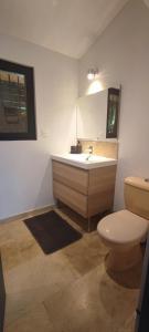 a bathroom with a sink and a toilet and a mirror at Studio au cœur de Buis-les-Baronnies in Buis-les-Baronnies