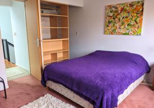 a bedroom with a purple bed and a book shelf at House - Organic Vegetable Garden and Swimming Pool in San Isidro +34 photos