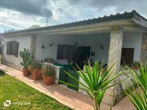 a small white house with plants in front of it at Casale del sole in Palestrina