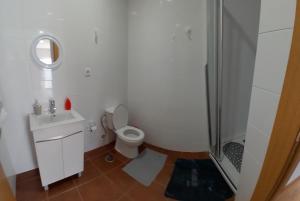 a white bathroom with a toilet and a shower at T1TR Anciao in Ancião