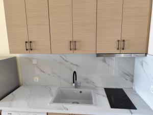 a kitchen counter with a sink and wooden cabinets at GEOMELOS Georgios APARTMENTS CHIOS in Chios +67 photos