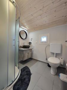 Koupelna v ubytování Diamando's Maisonette