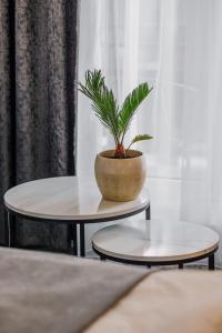 Fotografie z fotogalerie ubytování Hotel Soimul v destinaci Poiana Brašov