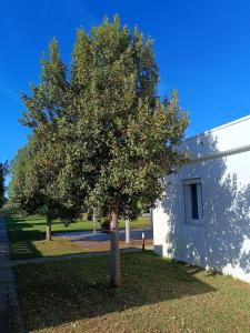 a tree in a yard next to a building at Spiaggiabella Resort in Torre Rinalda