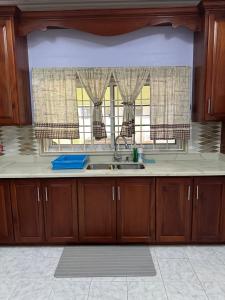 a kitchen with a sink and a window at Villa Azure in Tower Isle +21 photos