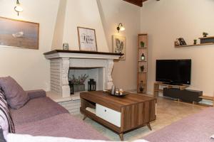 パレオカストリッツアにあるKineri Houseのソファとテレビのあるリビングルーム