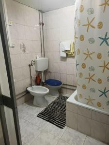 a bathroom with a toilet and a shower curtain at Residencia Paris in Coimbra