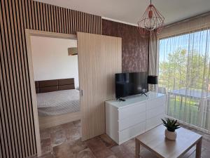 Televízia a/alebo spoločenská miestnosť v ubytovaní Bárdo Apartman