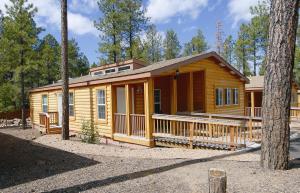 a log cabin in the woods with a tree at PVC at The Roundhouse Resort in Pinetop-Lakeside