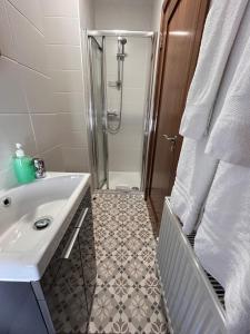 a bathroom with a shower and a sink and a toilet at Ryan's River Lodge B&B in Cong