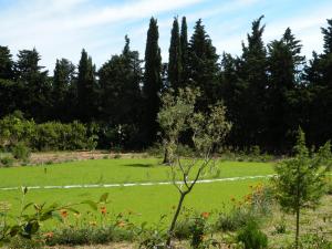 een veld van groen gras met bomen op de achtergrond bij S'Arenarju in La Caletta