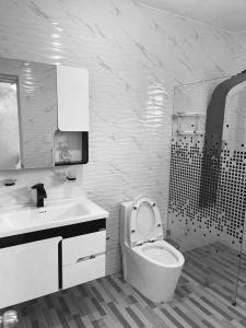 une salle de bain avec toilettes, lavabo et douche dans l'établissement Apartamento 2, à Cancino