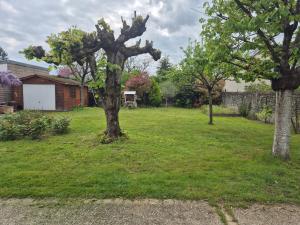 a tree in a yard next to a house at Studio Les Tilleuls in Amboise