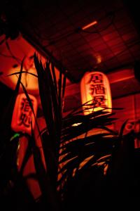 a dark room with a plant and two lights at World Solo Travel's Welcomed At St Pete Home in St. Petersburg