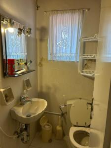 a small bathroom with a toilet and a sink at Δωμάτιο με WC σε εξοχικό σπίτι Ραφήνα in Rafina