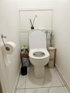 a bathroom with a toilet and a roll of toilet paper at Appartement Reims in Reims +6 photos
