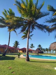 アウコバサにあるCasa de Praia - Alcobaça, Bahiaの椰子の群れ