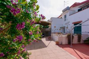 Κήπος έξω από το B&B DANIELA