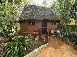 Zahrada ubytování The Pickled Onion B&B and Restaurant Uxmal