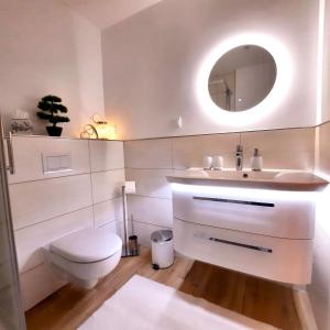 a bathroom with a toilet and a sink and a mirror at Bergliebe 5 mit großer Terrasse, Tiefgarage & Lift in Bad Harzburg