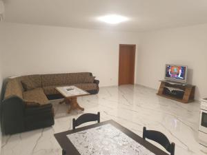 TV a/nebo společenská místnost v ubytování Apartmani Gusani