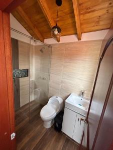 une salle de bain avec toilettes, douche et lavabo dans l'établissement Cabaña Villa Luz, à Paipa