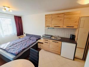 Kuchyň nebo kuchyňský kout v ubytování Štaindlův kopec + 21 fotografií