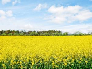 Gallery image of 4 star holiday home in Burgsvik in Burgsvik +15 photos