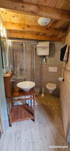 a bathroom with a sink and a toilet at La villa de l'Angle - Maison familiale de charme - jusqu'à 10 voyageurs in Le Mont-Dore