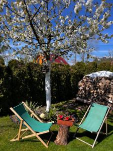 deux chaises et un arbre avec des fleurs dans une cour dans l'établissement A&R Rewa Apartament, à Rewa