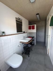a bathroom with a white toilet and a sink at Eifel-Ferienhaus, Haus Achtzehn77 in Bitburg