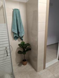 Koupelna v ubytování Tatti's Apartment + 17 fotografií