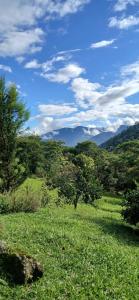 a field of green grass with trees in the background at Alto de Santa Barbara in São Francisco Xavier