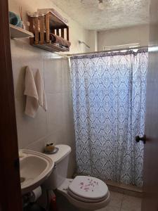 a bathroom with a toilet and a sink and a shower at Bardock confortplace in Toluca