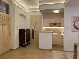 a kitchen with a sink and a refrigerator in it at Király Apartman in Pécs