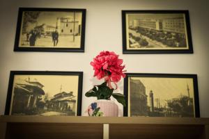 Fotografie z fotogalerie ubytování L&B Studio Apartment v destinaci Pristina
