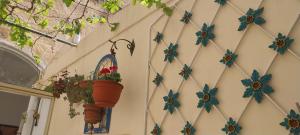 Fotografie z fotogalerie ubytování Kanina v destinaci Mellieħa